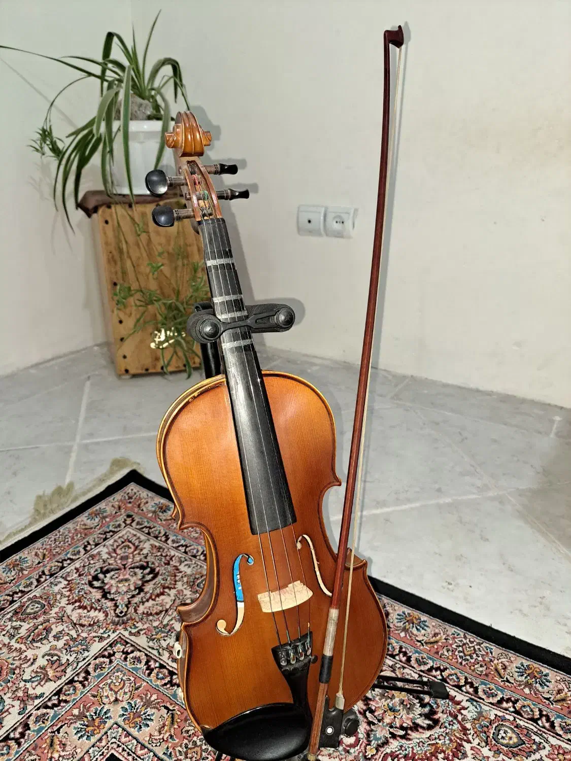 ویالن TF 142|ویولن|کرج, ساماندهی|دیوار