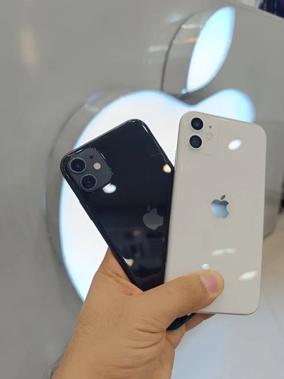 iPhone 11|موبایل|مشهد, سعد آباد|دیوار