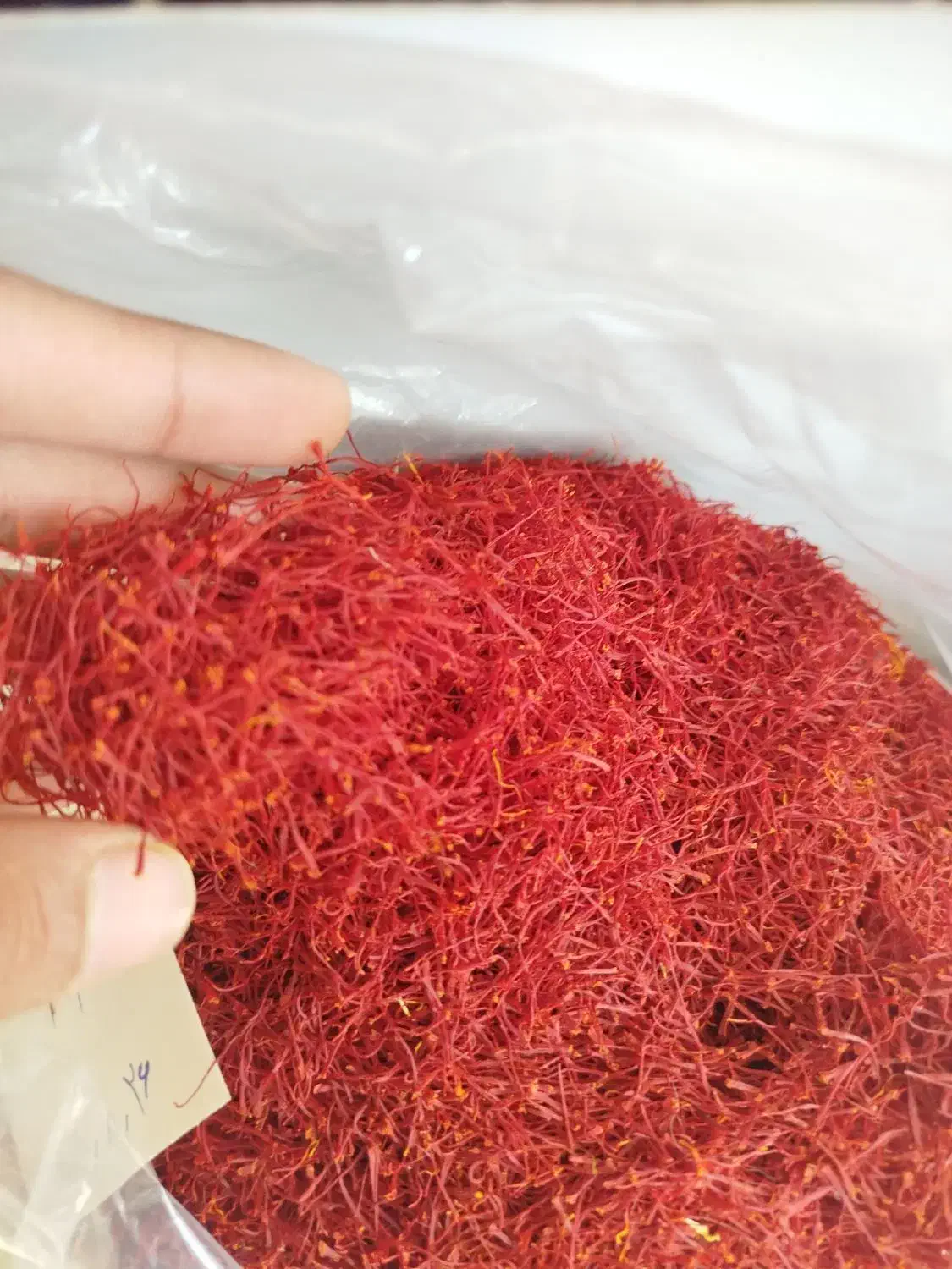 انواع زعفران (سرگل نگین دخترپیچ) مستقیم از قاینات|خوردنی و آشامیدنی|قائن, |دیوار