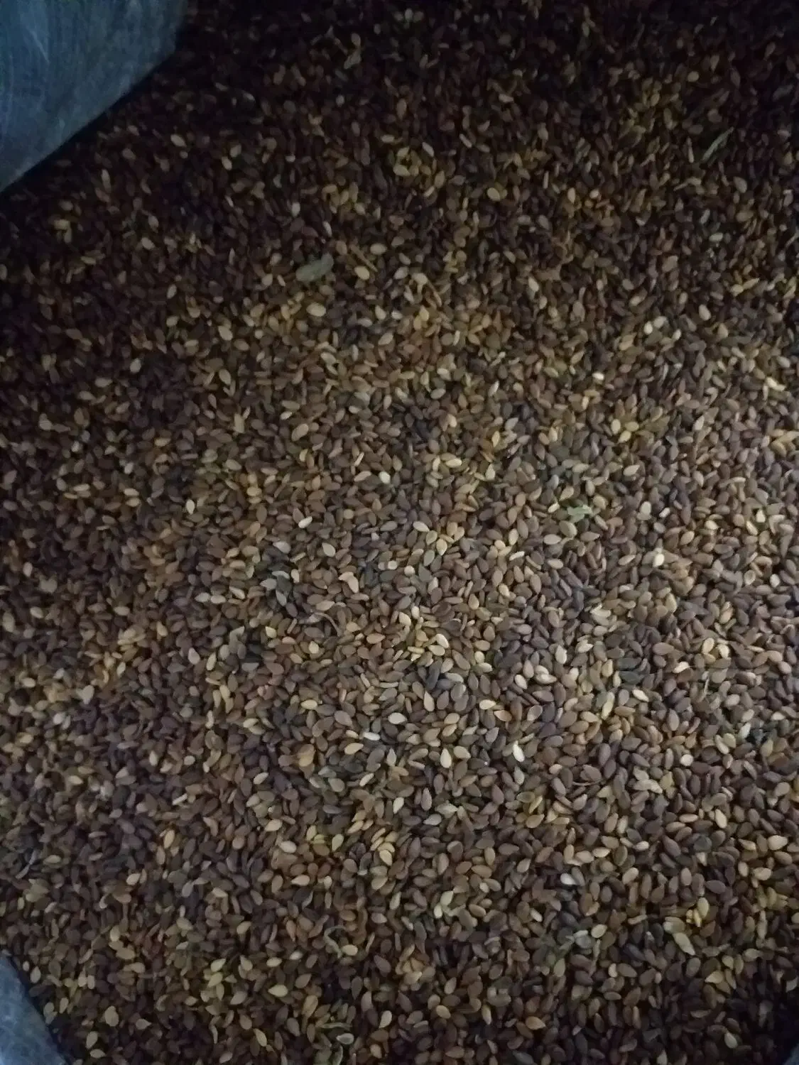 کنجد درجه یک|خوردنی و آشامیدنی|دره شهر, |دیوار