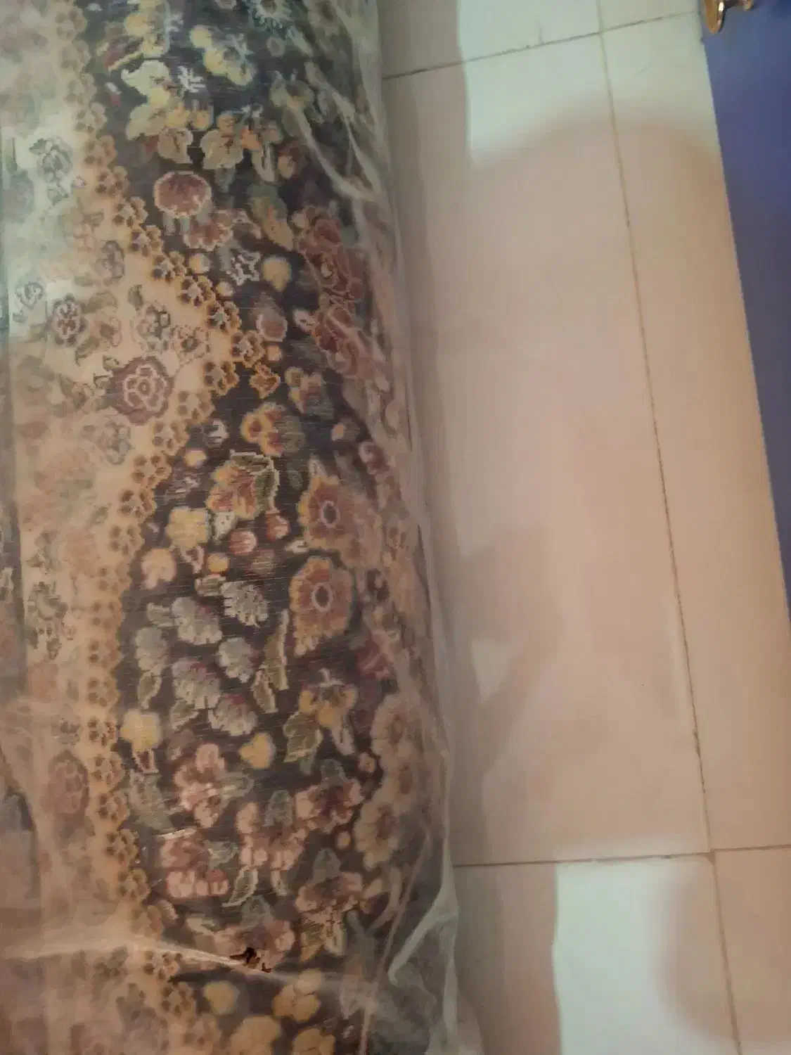 فرش ۱۲ متری زرین شاه پری|فرش|محمدیه-قزوین, |دیوار