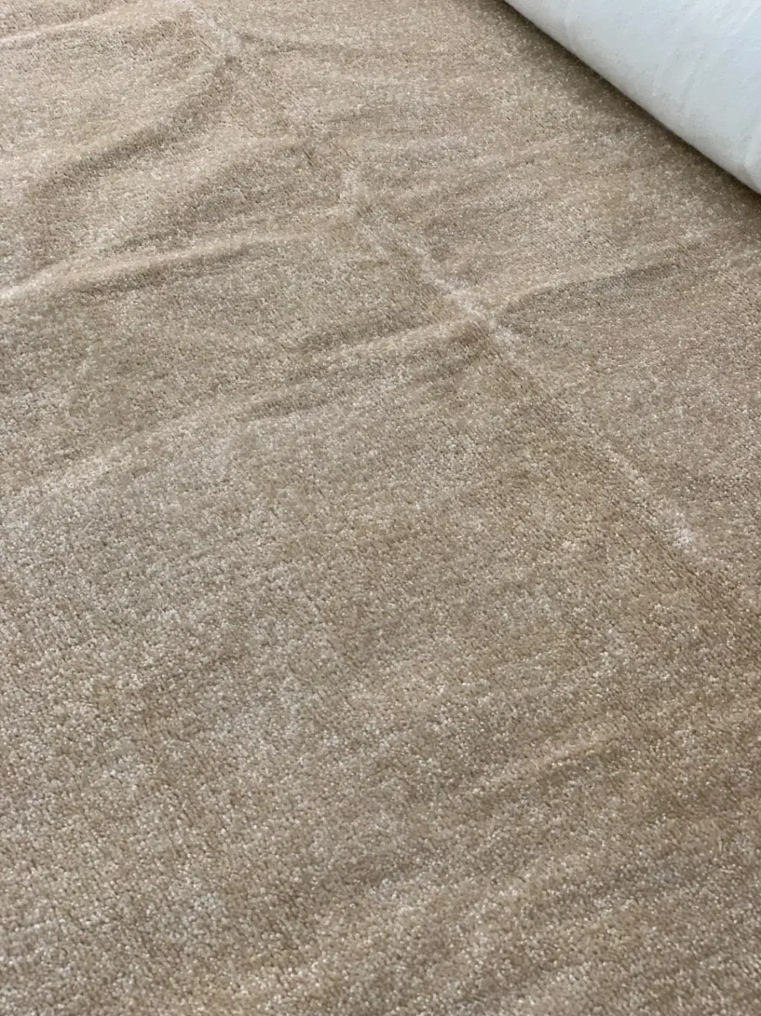 پالاز موکت|موکت|بندرعباس, |دیوار