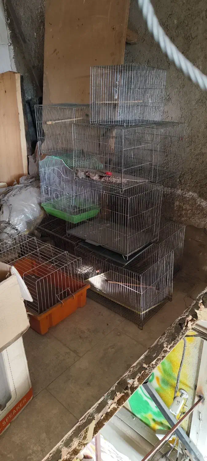 تعدادی قفس پرند|لوازم جانبی حیوانات|پردیس, شهرک صنعتی کمرد|دیوار
