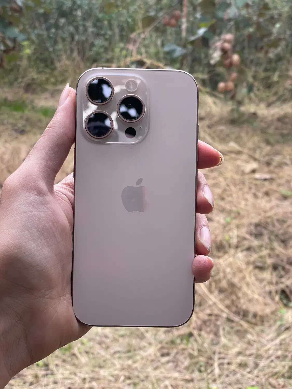 ایفون ۱۶پرو ۲۵۶ گیگ Zaa|موبایل|تنکابن, |دیوار