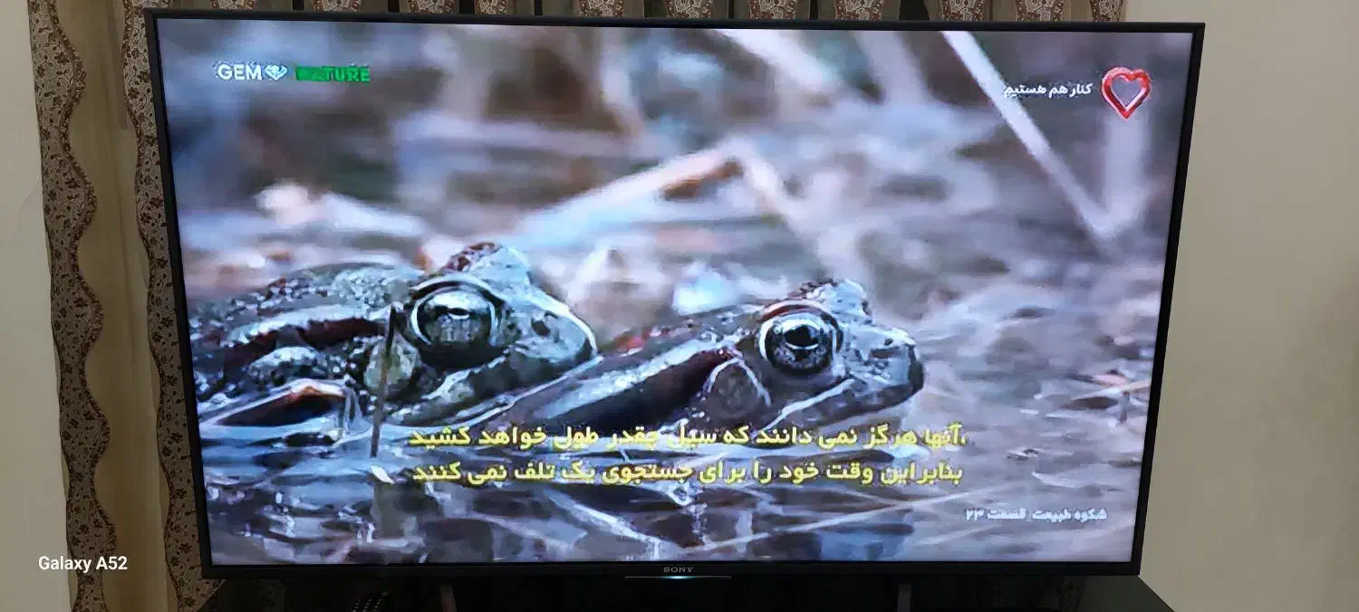 تلوزیون ال ای دی ۵۵اینچ سونی اصل مالزی|تلویزیون و پروژکتور|پرند, فاز ۴|دیوار