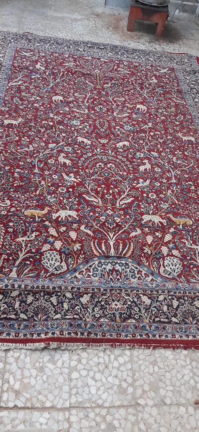 فرش۱۲متری|فرش|کهن آباد, |دیوار