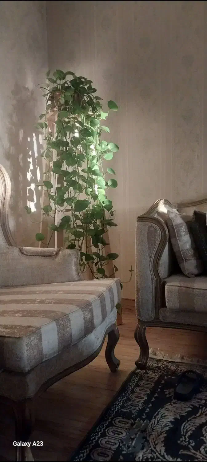 چهارپایه تمام چوب زیرگلدانی|صندلی و نیمکت|تهران, مشیریه|دیوار