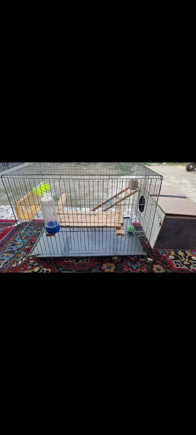 قفس پرنده|لوازم جانبی حیوانات|جویبار, |دیوار