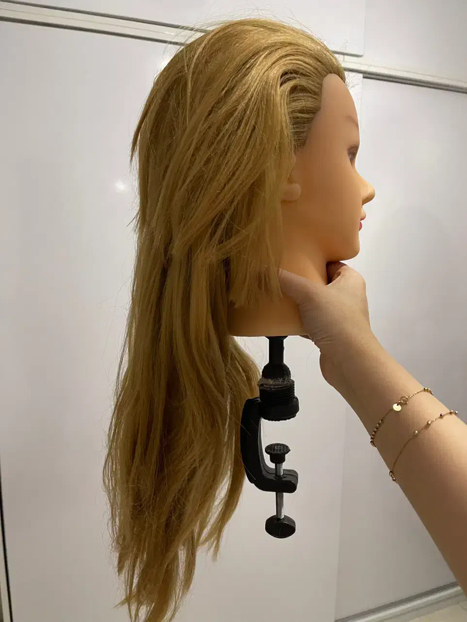 کله مانکن|آرایشگاه و سالن‌های زیبایی|رشت, معلم|دیوار