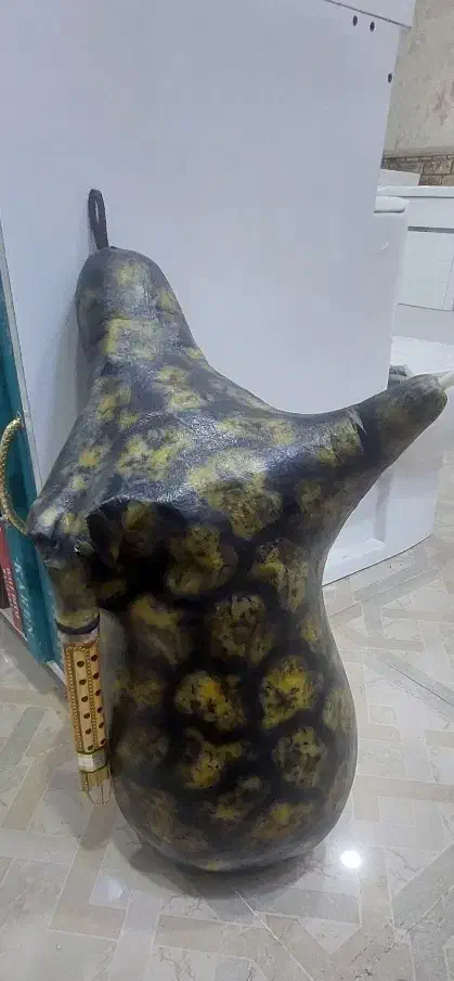 نی انبان|سازهای بادی|تهران, خلیج فارس|دیوار