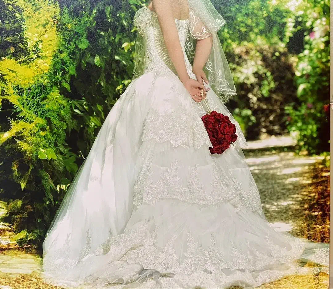 لباس عروس|لباس|بندرعباس, |دیوار