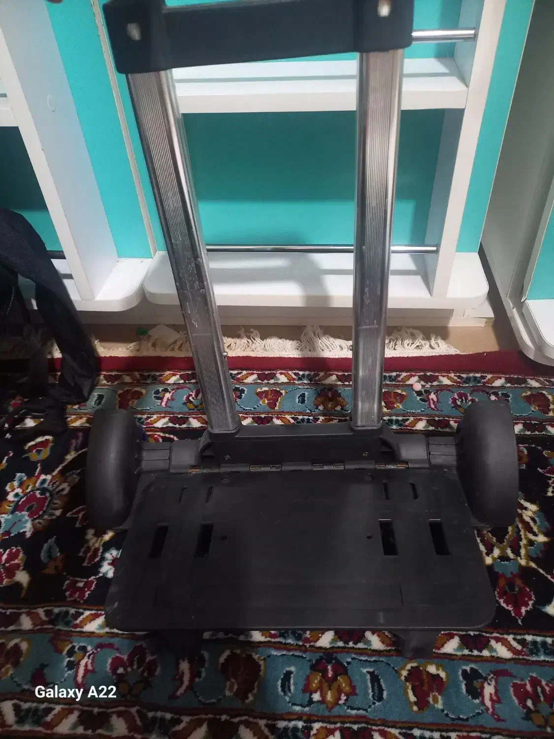 چرخ کیف|کیف، کفش، کمربند|ساوه, |دیوار