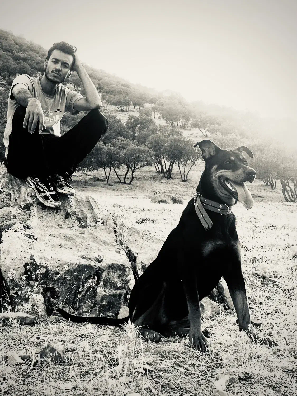 سگ دوبرمن رتوایلر میکس حرفه ایی(روترمن)|سگ|خرم‌آباد, |دیوار