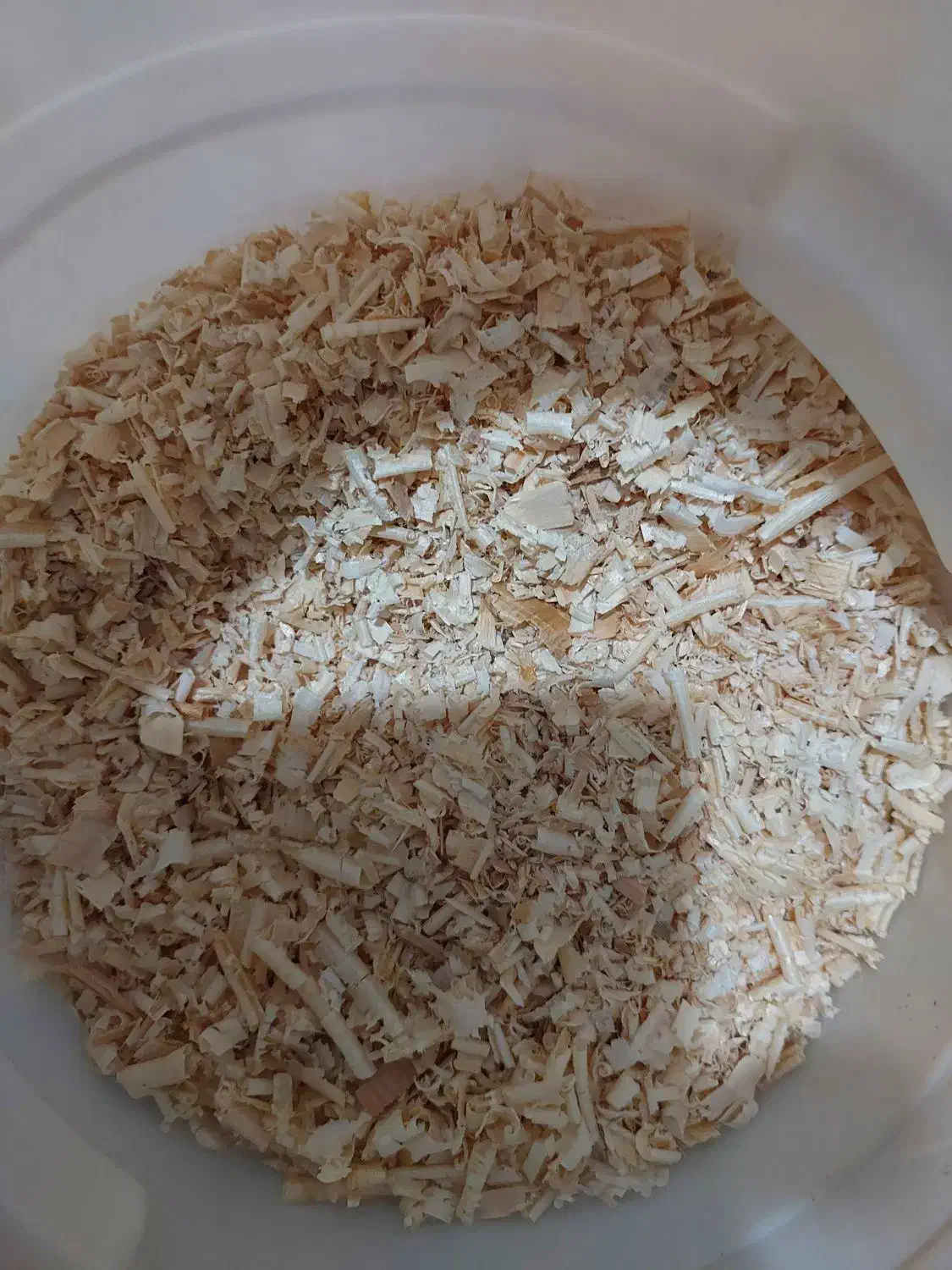 پودر چوب ضدعفونی شده مخصوص لانه پرنده|لوازم جانبی حیوانات|خرمشهر, |دیوار