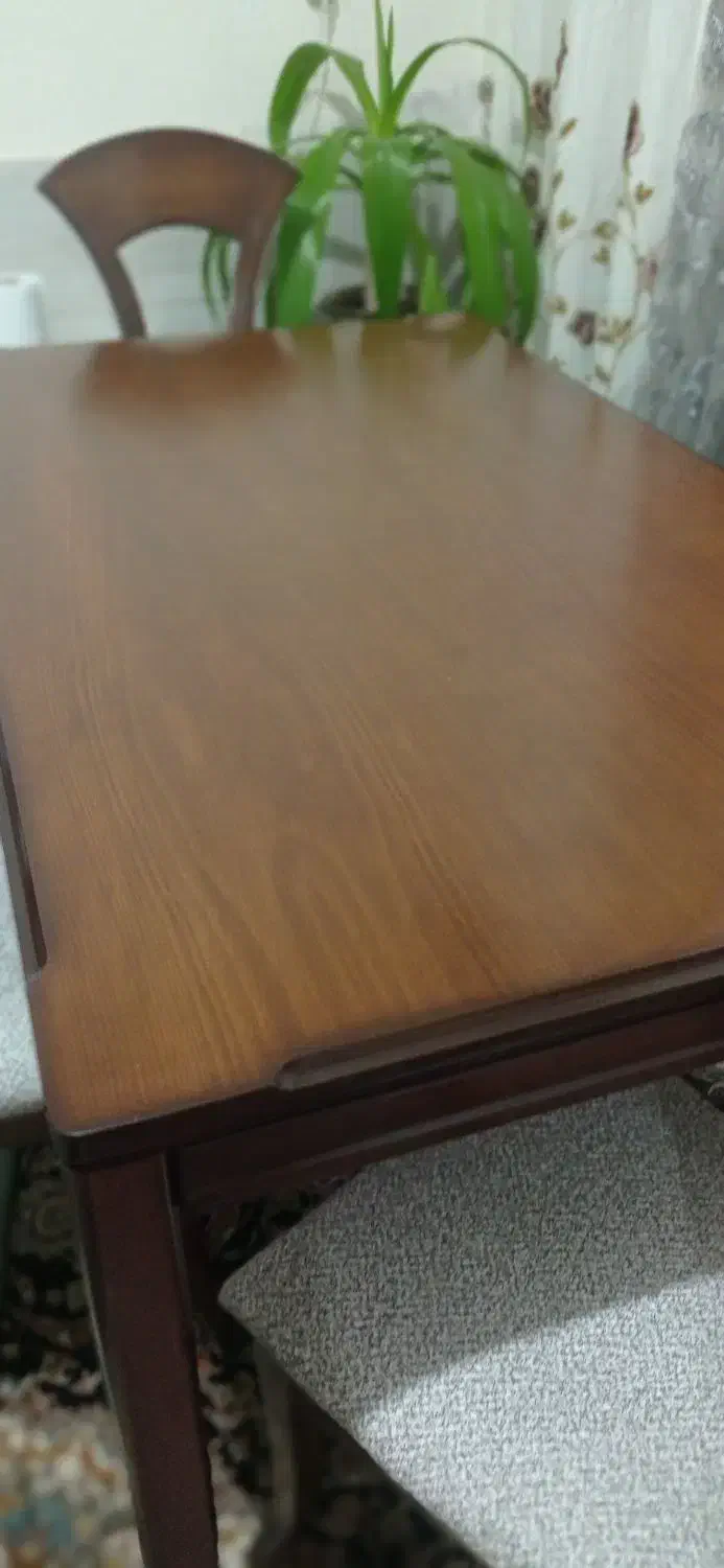 میز و صندلی نهارخوری ۶نفره درحدنو نو نوچوب گردو|میز و صندلی غذاخوری|شیراز, شهرک مهدیآباد|دیوار