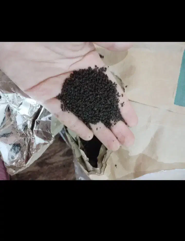 چای کله مورچه ای|خوردنی و آشامیدنی|اهواز, کوی مندلی(سه راه خرمشهر)|دیوار