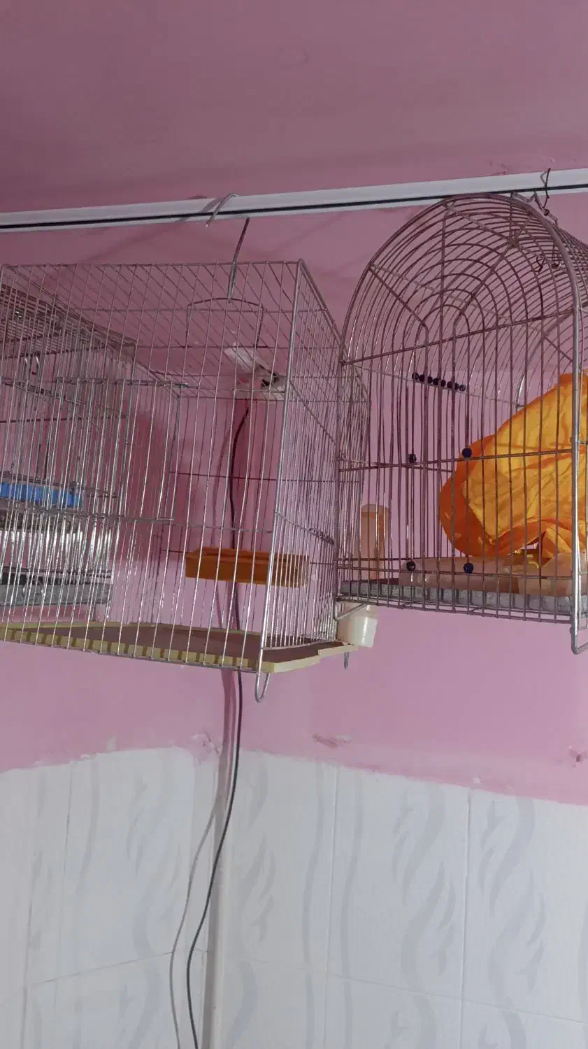 قفس پرنده|لوازم جانبی حیوانات|ایلام, |دیوار
