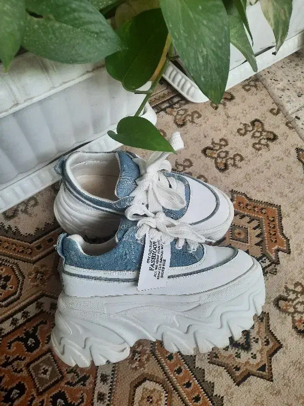 کفش|کیف، کفش، کمربند|مشهد, نوید|دیوار