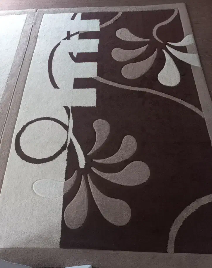 فرش ماشینی فانتزی|فرش|گلبهار, شهر جدید گلبهار|دیوار