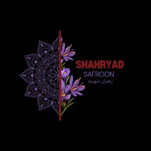 ادیتور حرفه ای هستم|خدمات رایانه‌ای و موبایل|قم, باجک یک|دیوار