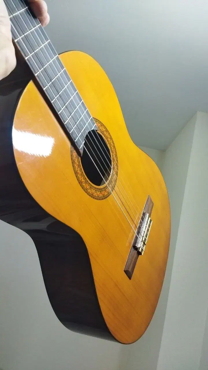 گیتار c40|گیتار، بیس، امپلیفایر|مشهد, میعاد (شهرک غرب)|دیوار