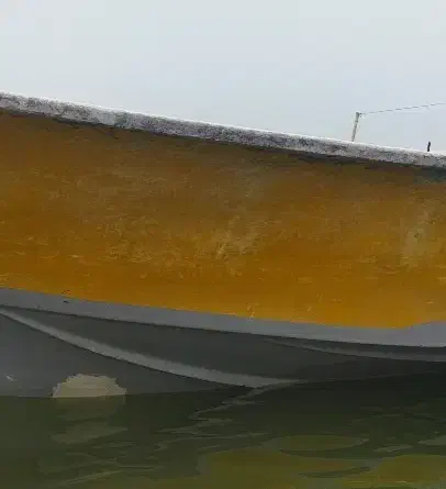 مجوز بنزینی جدید|قایق و سایر وسایل نقلیه|بندرلنگه, |دیوار