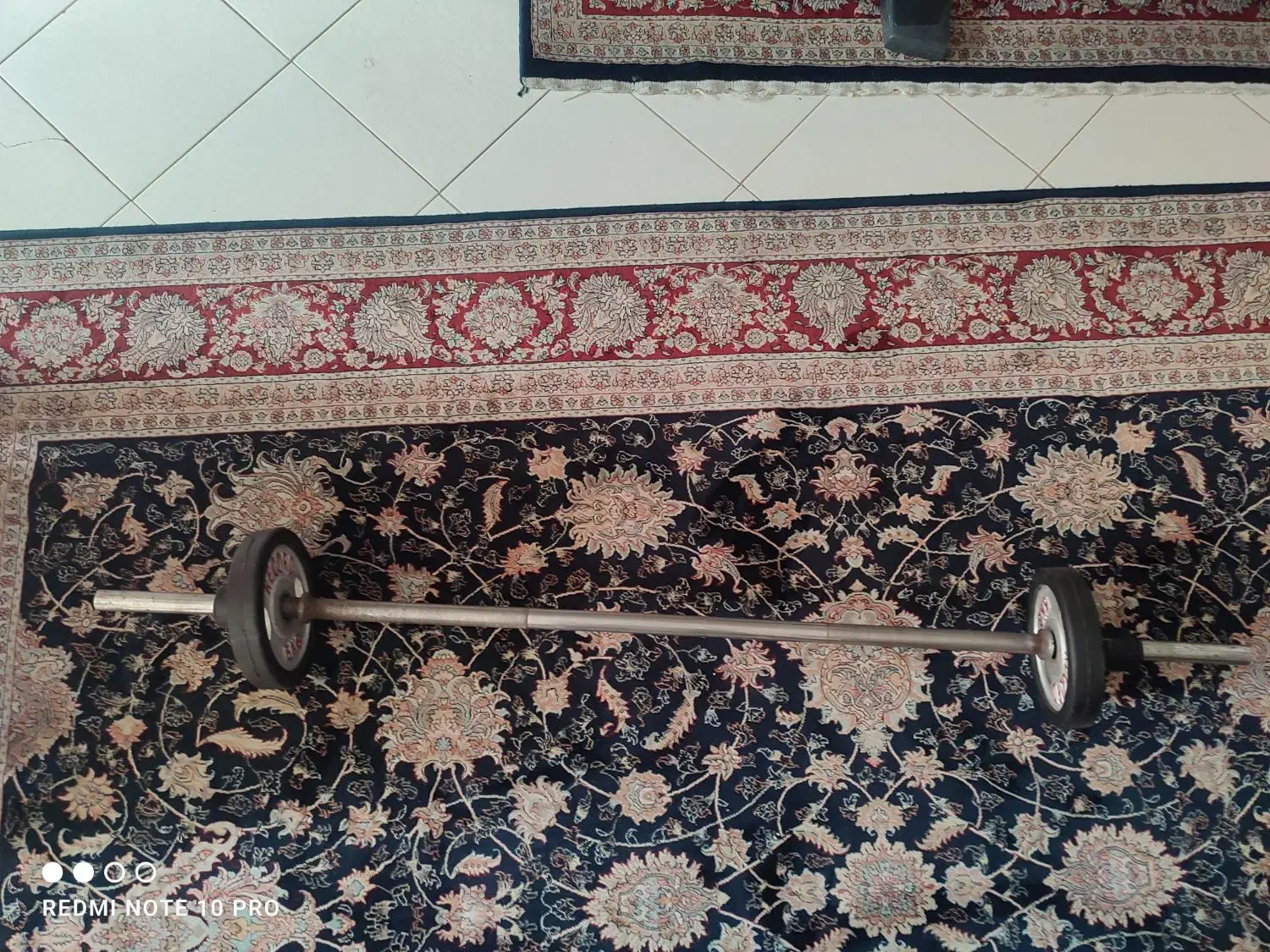 هالتر ورزش|تجهیزات ورزشی|تهران, وحیدیه|دیوار