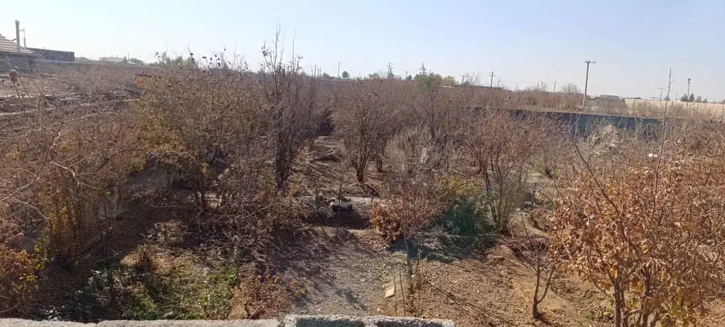 باغ چهاردیواری|فروش زمین و ملک کلنگی|برخوار, |دیوار