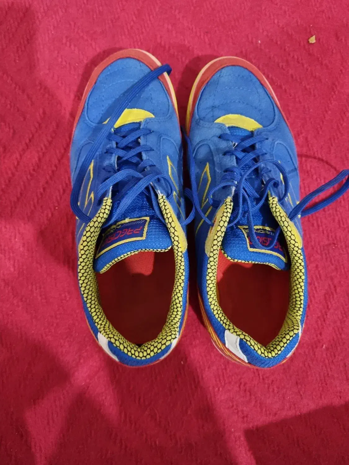 کفش سالن|کیف، کفش، کمربند|بیرجند, |دیوار