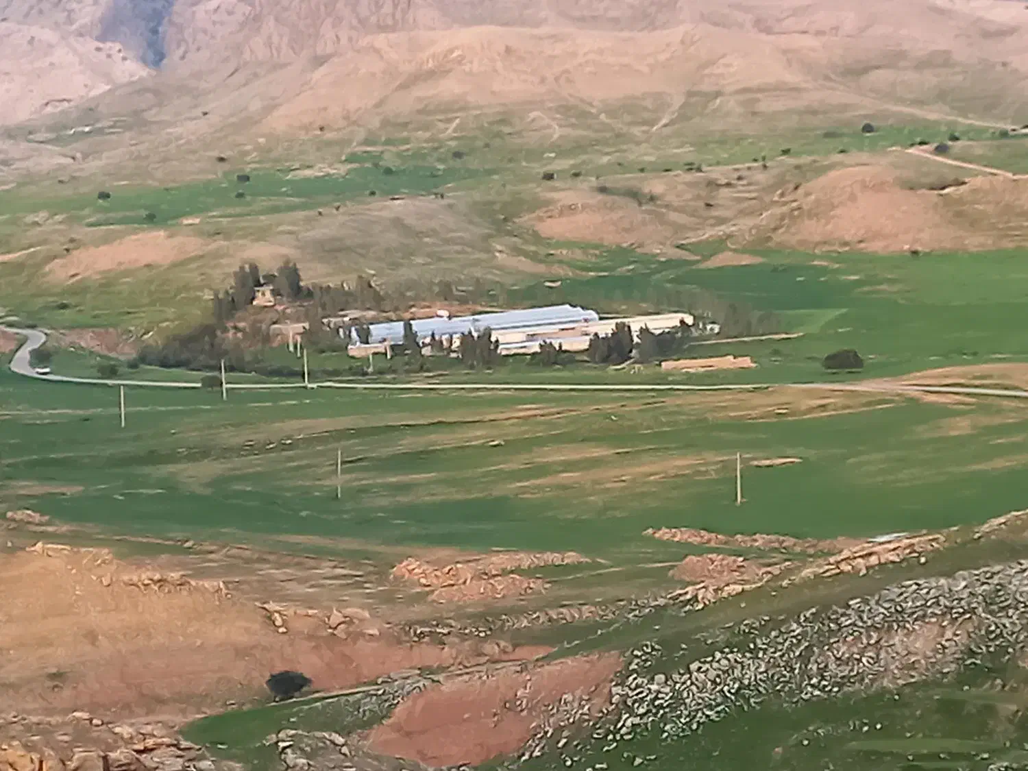 مزرعه مرغداری و گلخانه و باغ و ویلا|فروش دفتر صنعتی، کشاورزی، تجاری|لالی, |دیوار