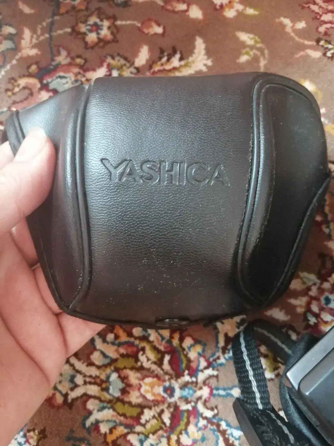 دوربین عکاسی رادیو|دوربین عکاسی و فیلم‌برداری|تهران, باغ خزانه|دیوار