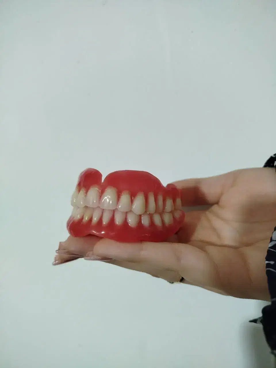 لابراتور دندانسازی خیریه حضرت فاطمه|خدمات آرایشگری و زیبایی|تهران, شهرک طالقانی|دیوار