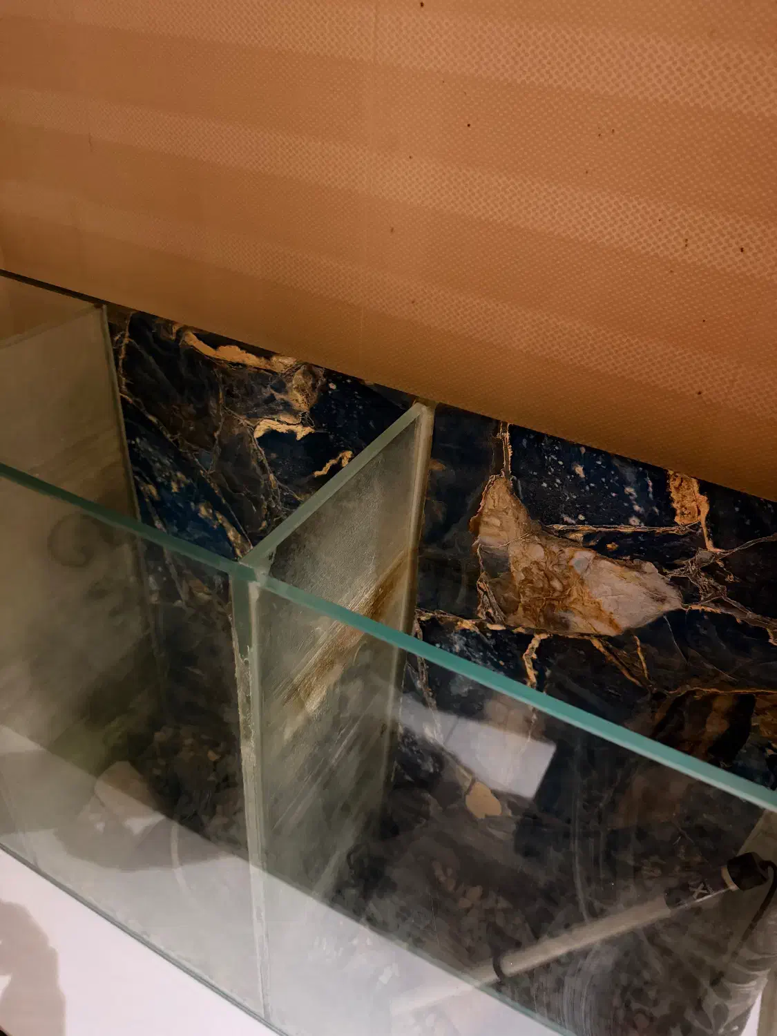 فروش آکواریوم با تجهیزات|ماهی|اهواز, کیانپارس |دیوار