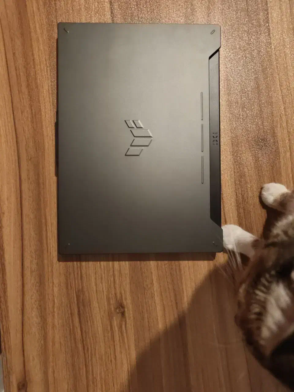 لپ تاپ Asus Tuf A15 Fa507nur|رایانه همراه|تهران, یوسف‌آباد|دیوار