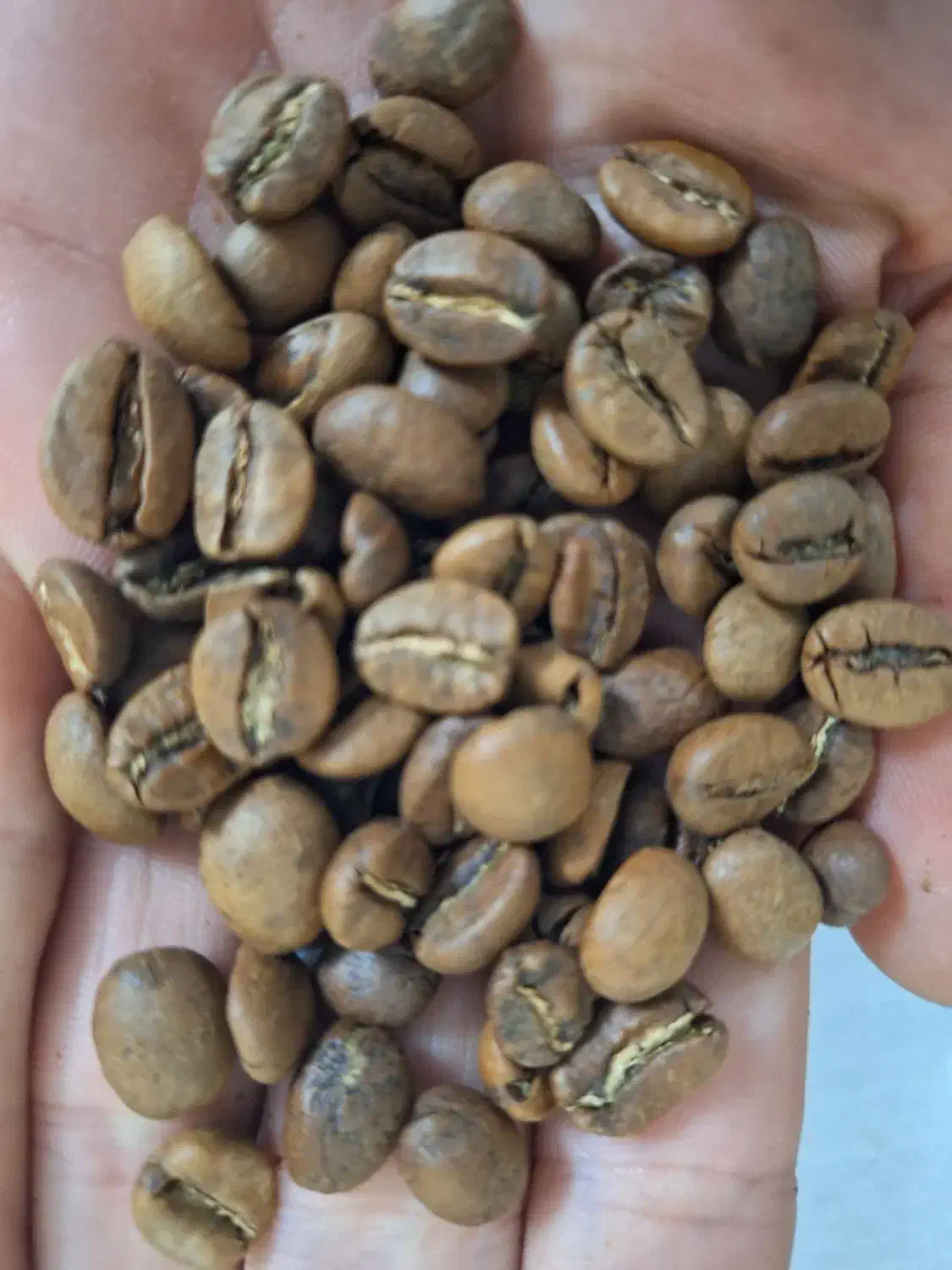 دان قهوه درجه یک|خوردنی و آشامیدنی|تهران, عباسی|دیوار