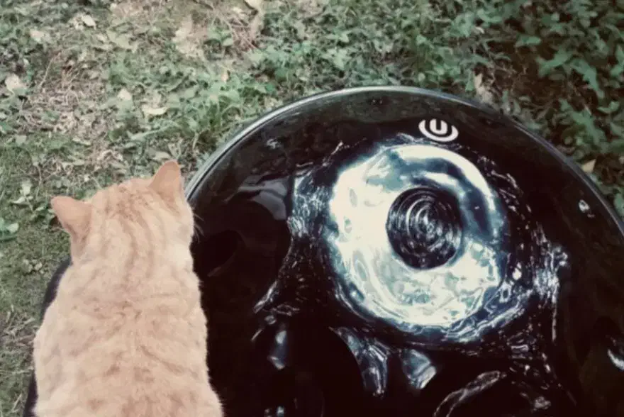 اموزش تخصصی ساز هنگدرام به صورت خصوصی و تضمینی|خدمات آموزشی|تهران, کوهک|دیوار