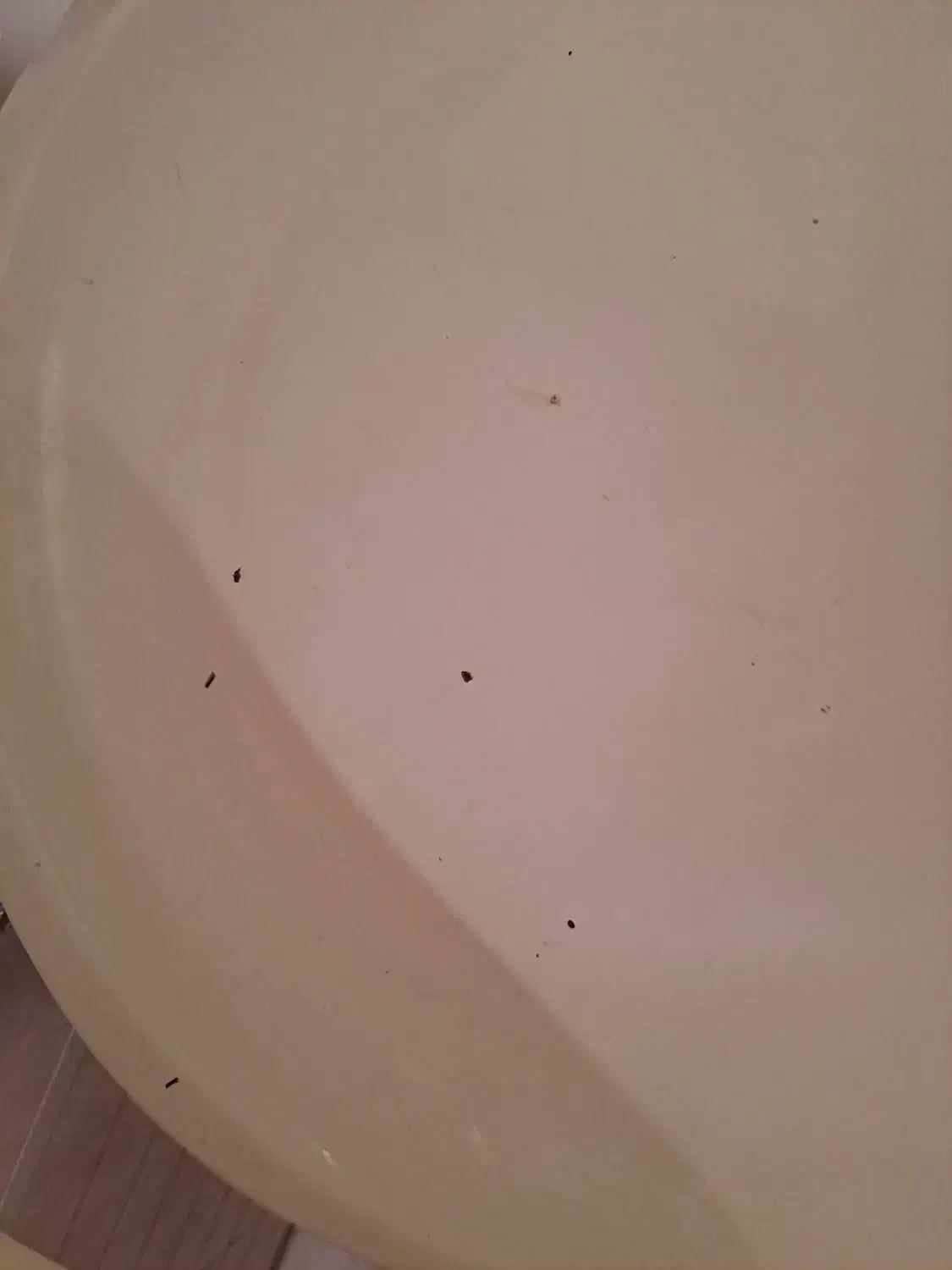 دو عدد صندلی ضامن دار سیاه سفید|صندلی و نیمکت|پرند, فاز ۳|دیوار