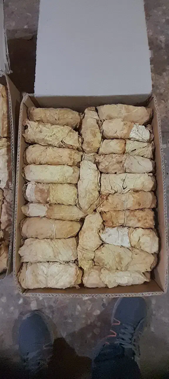 کاهو برگ قرمز و طلایی برازجان|خدمات باغبانی و درختکاری|بوشهر, |دیوار