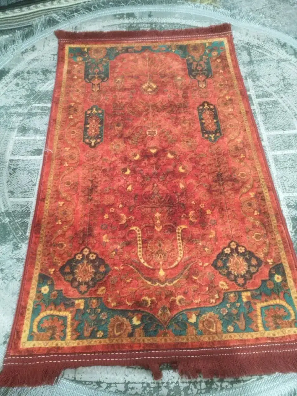 پادری کلاریس|پادری|قم, علی آباد|دیوار