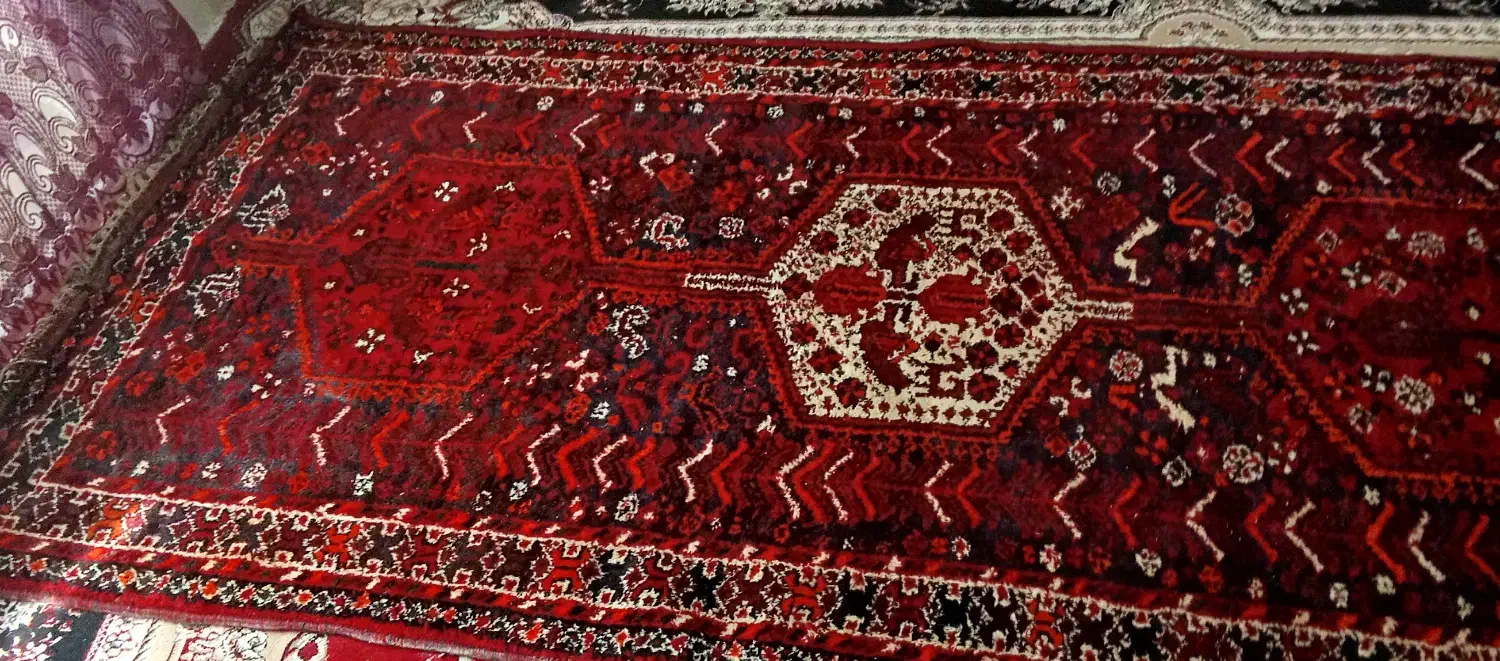قالی دستباف پشمی|فرش|جهرم, |دیوار