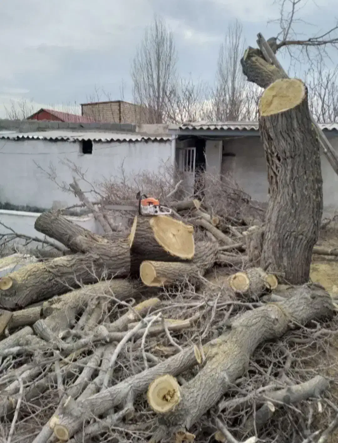 خریدتنه الوار قطعه حرفه ای درخت چوب داخل دربندبیشه|خدمات باغبانی و درختکاری|اراک, |دیوار