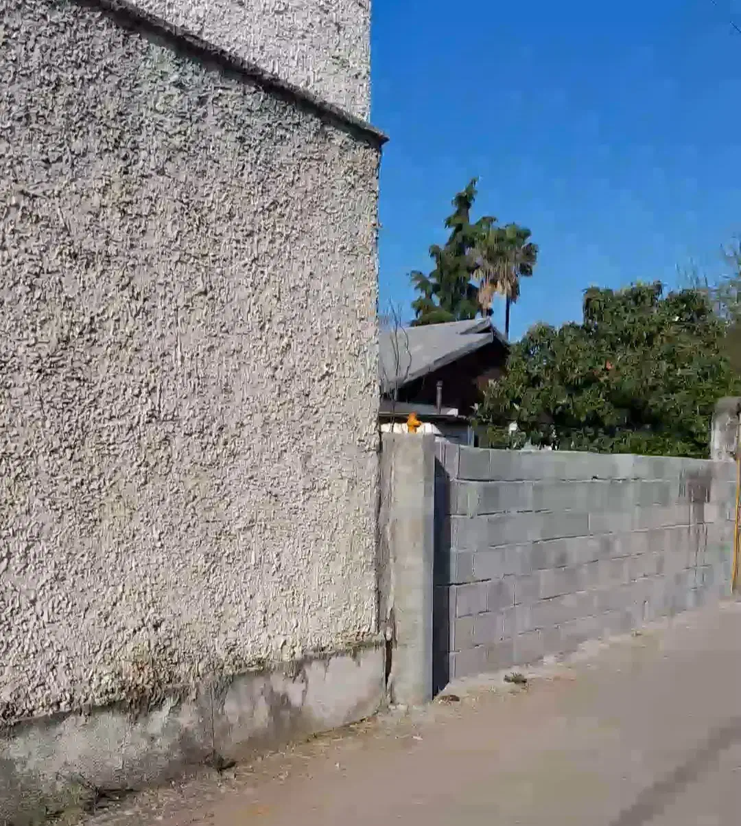 زمین مسکونی با سند تک برگ و انشعاب برق ،آب|فروش زمین و ملک کلنگی|سلمانشهر, |دیوار