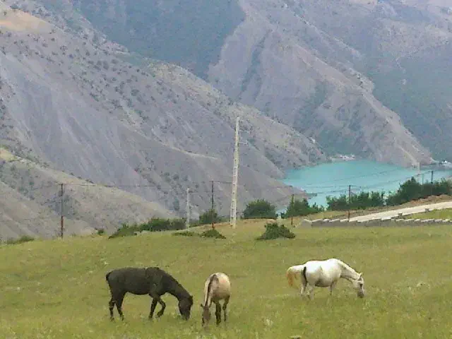 ۱۴۰ زمین کلاردشت داخل بافت بر جاده اسفالته|فروش زمین و ملک کلنگی|کلاردشت, |دیوار