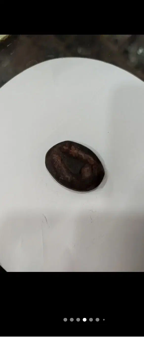 سنگ موکل دار|جواهرات|بوشهر, |دیوار