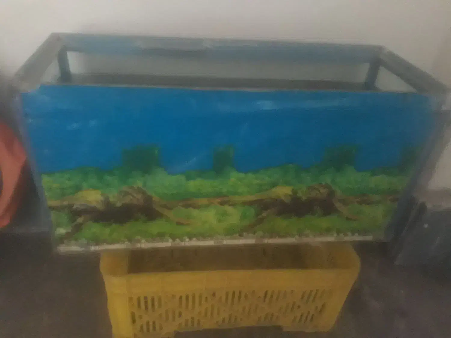 آکواریوم درحدنو|ماهی|گرگان, |دیوار