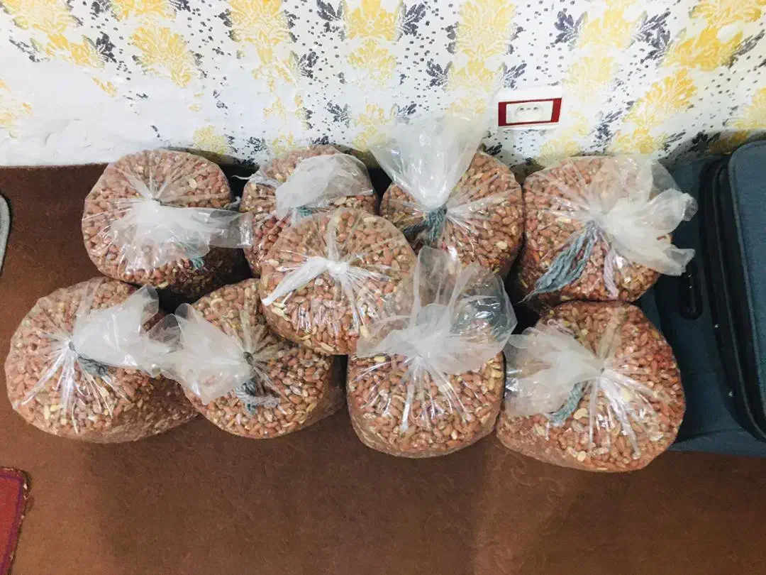 بادام زمینی درجه ۱ برشته شده|خوردنی و آشامیدنی|قشلاق دشت, |دیوار