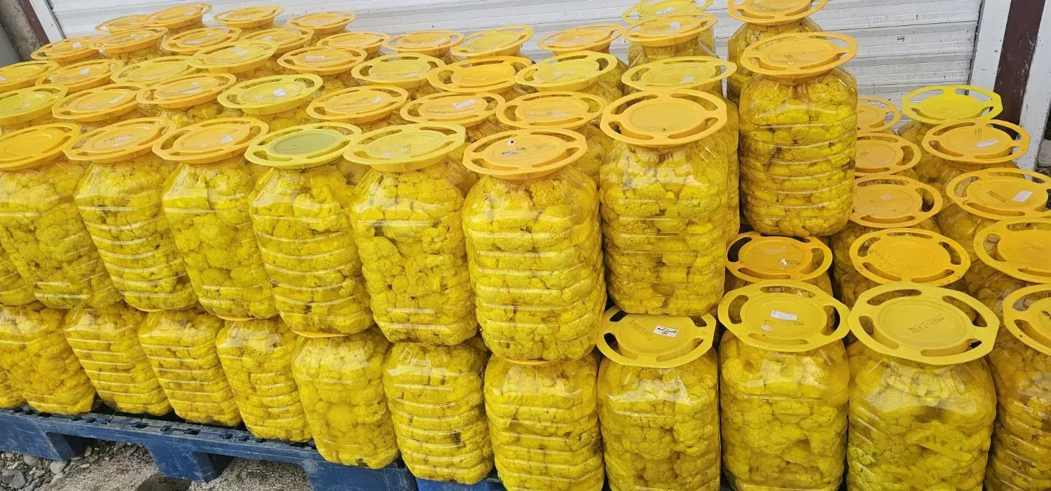 تولید انواع ترشیجات محلی با کیفیت عمده|عمدهفروشی|رشت, چله خانه|دیوار