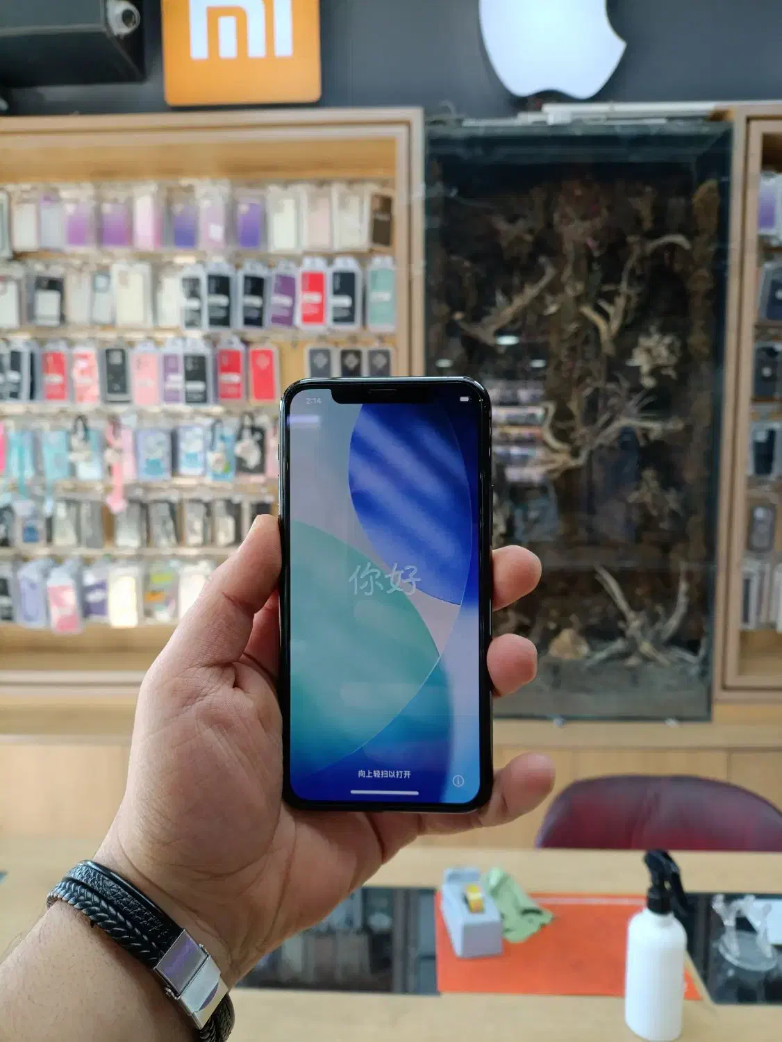 iPhone 11pro|موبایل|رباط‌کریم, رباط‌کریم|دیوار