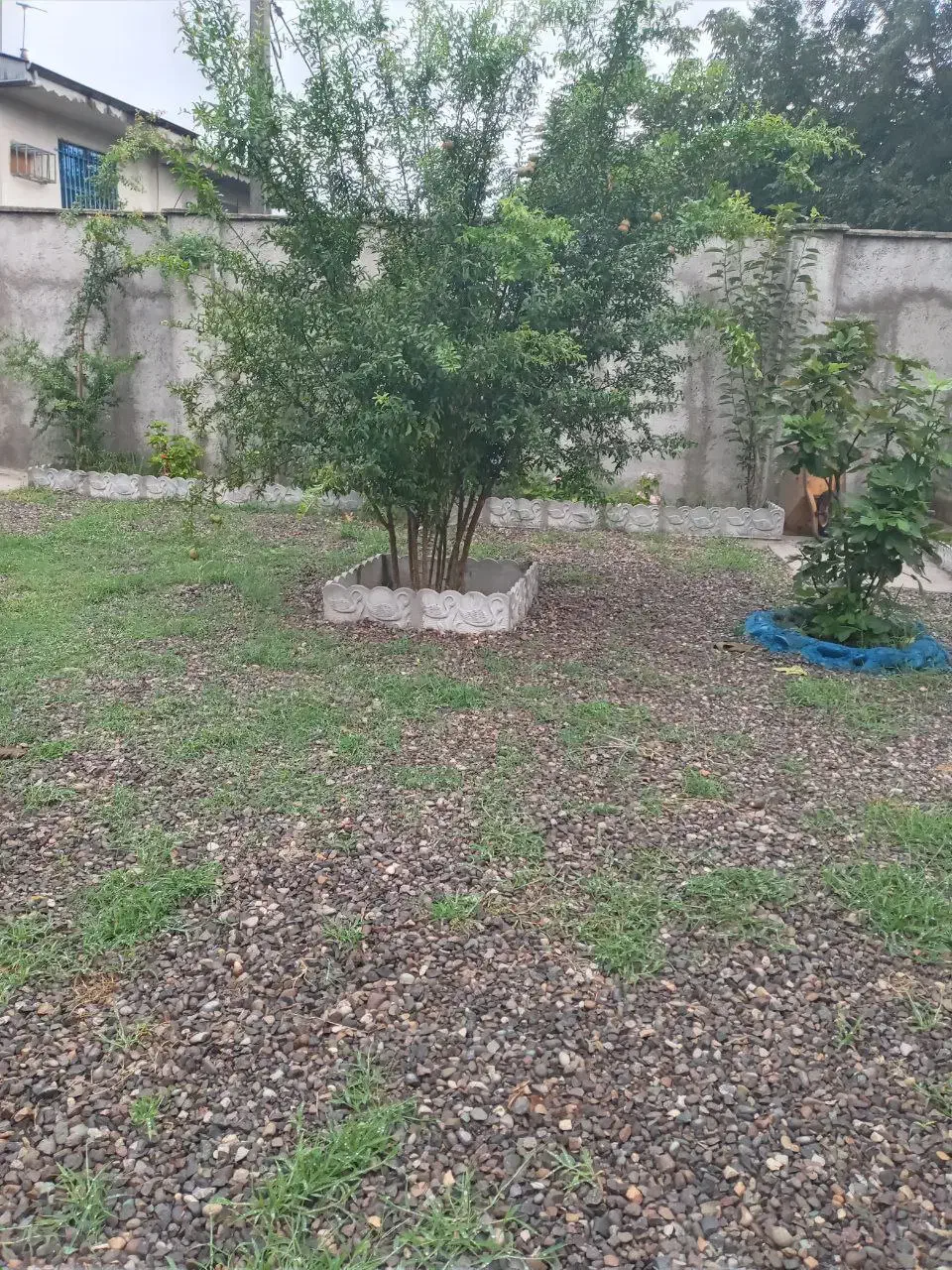 خونه باغ نقلی|فروش خانه و ویلا|رشت, جانبازان|دیوار