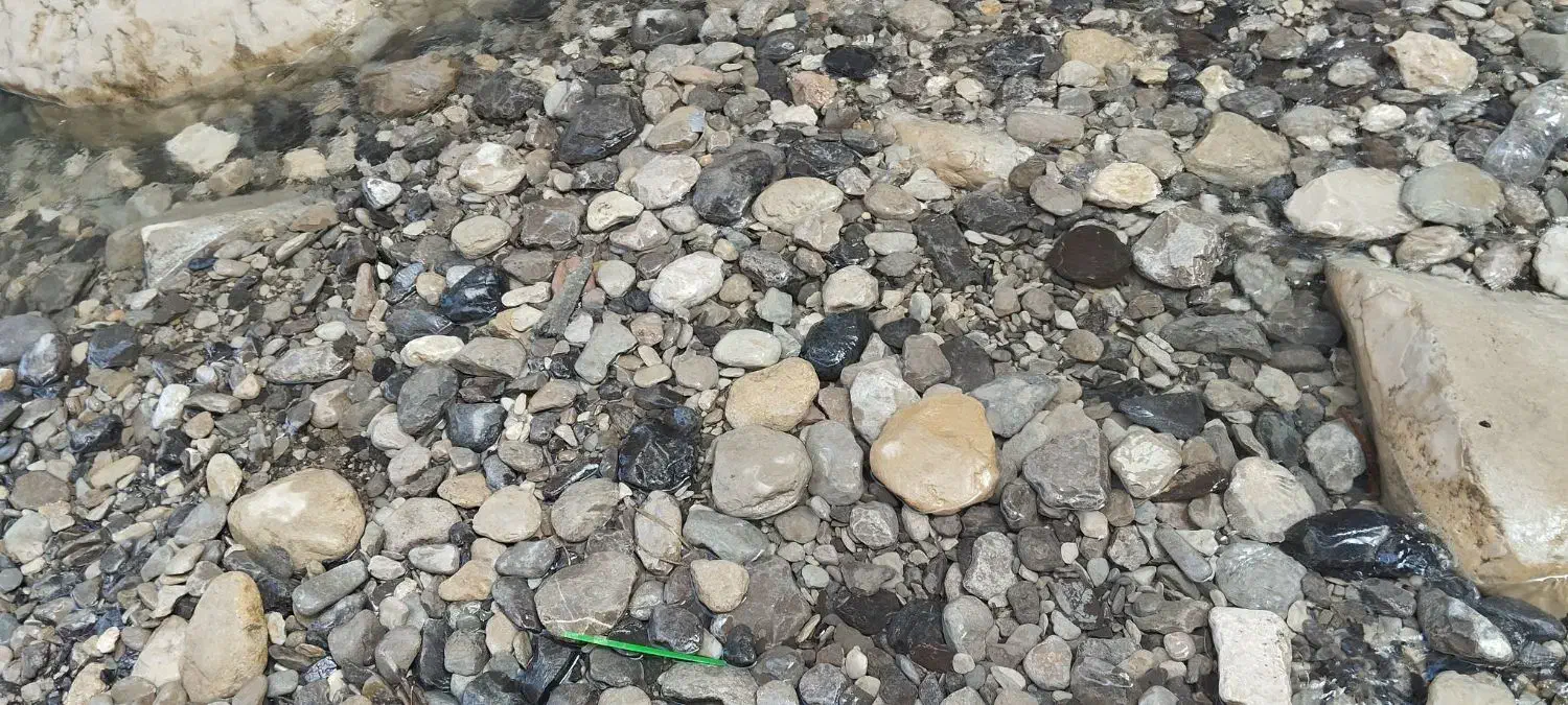 تدریس خصوصی ریاضی اول تا چهارم|خدمات آموزشی|قدس, شهر‌قدس|دیوار